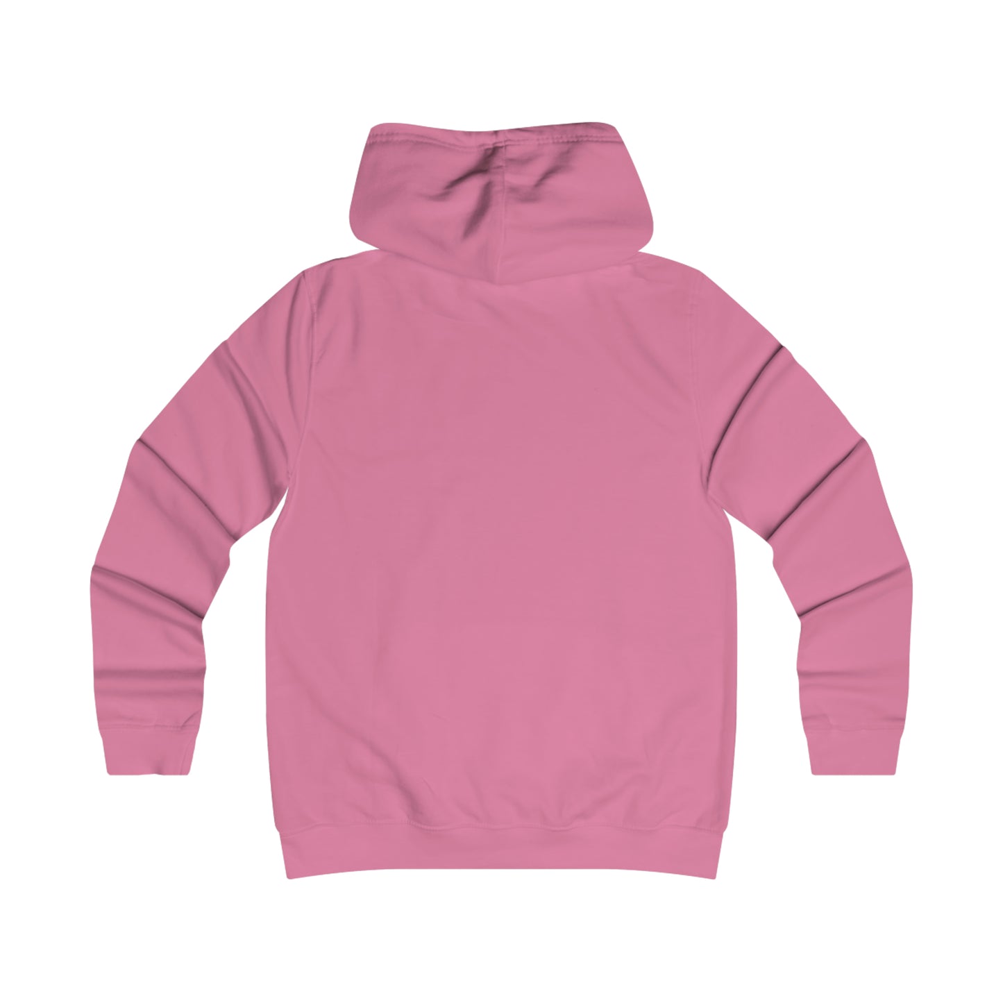 MY DOG HATES YOUR DOG HOODIE